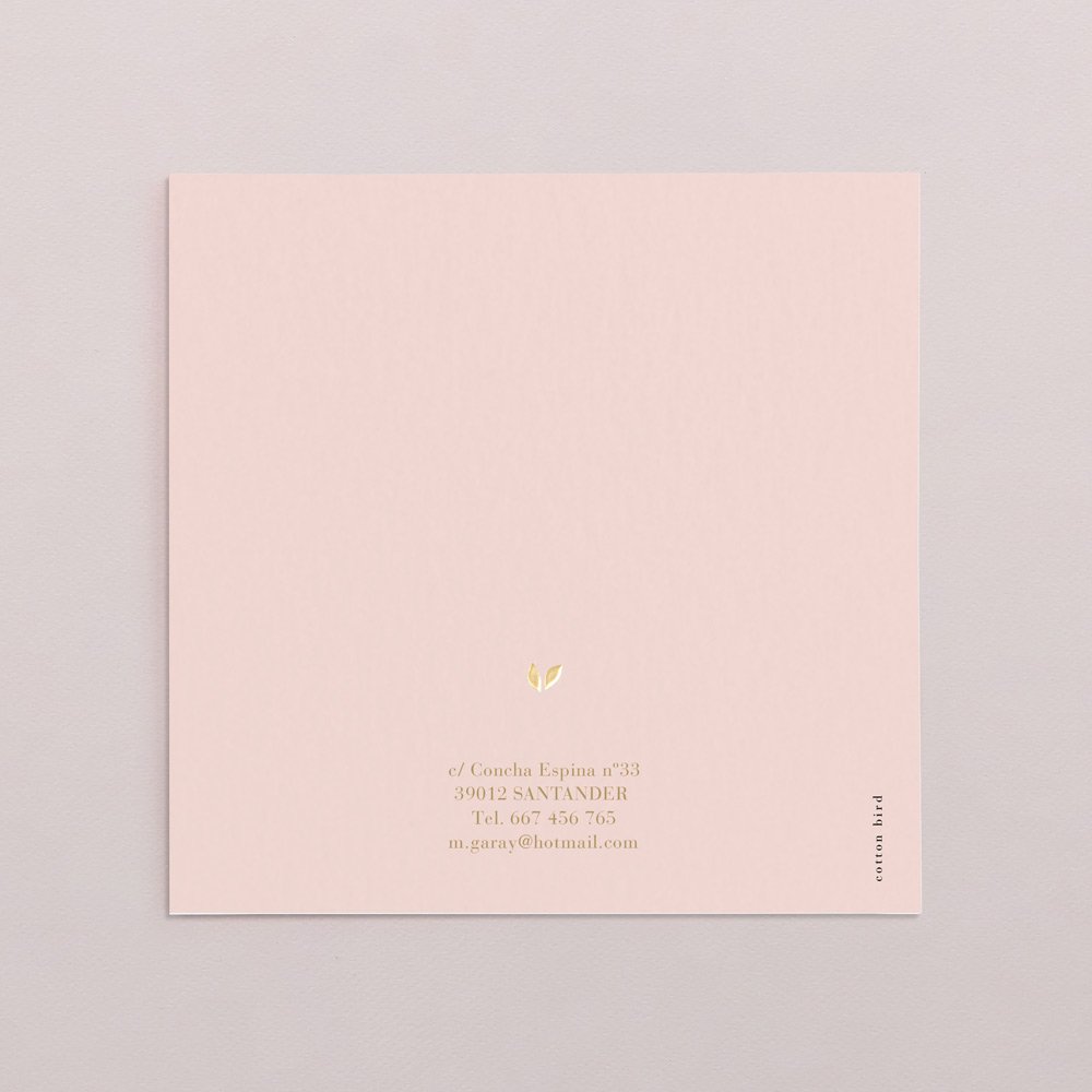 Diana Rosa Empolvado