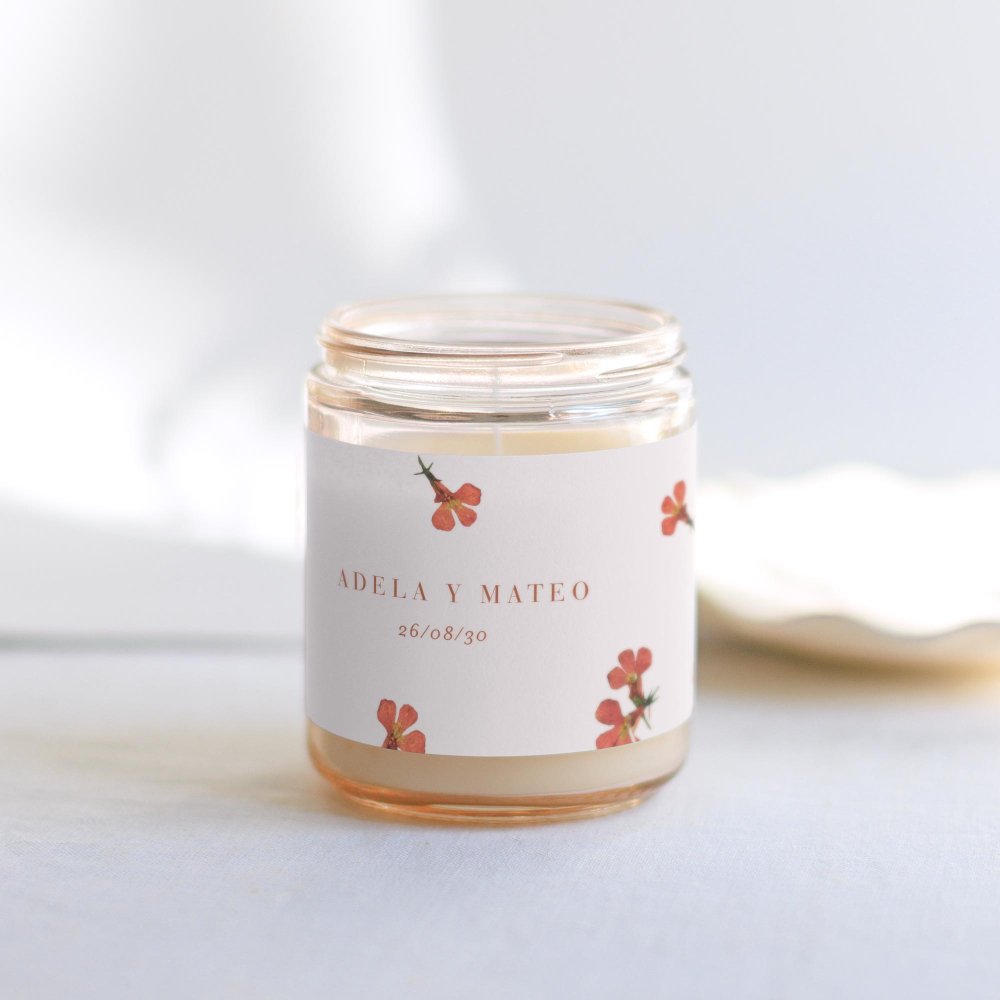 Lobelia Cardinalis I