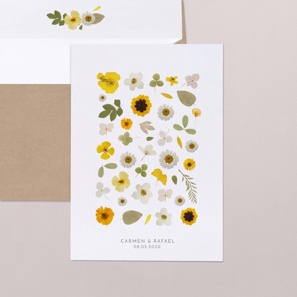 Girasoles