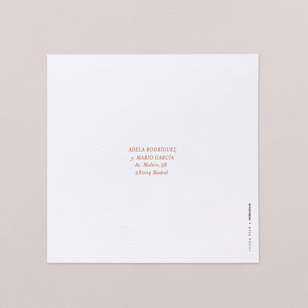 Lobelia Cardinalis I