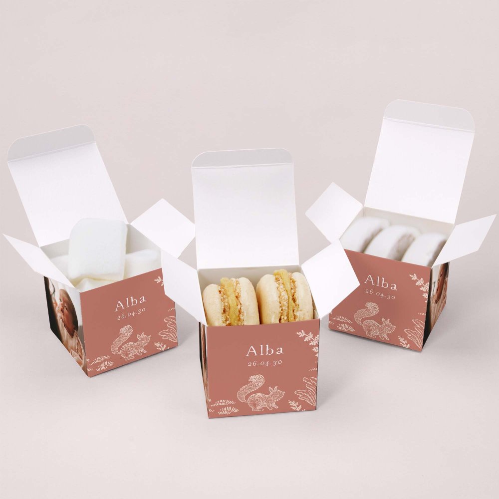 Bosque dormido - Rosa