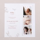 Bosque dormido - Rosa