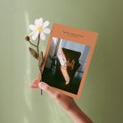 le Petit Quotidien - 7