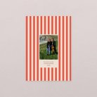 le Petit Quotidien - 2