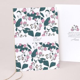 Fresas del bosque II