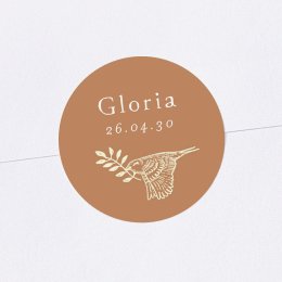 Bosque dormido - Terracota