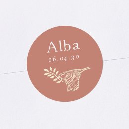 Bosque dormido - Rosa