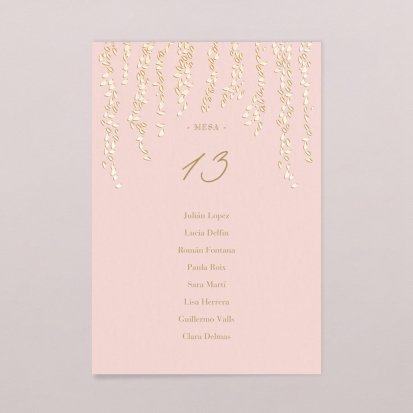 Diana Rosa Empolvado