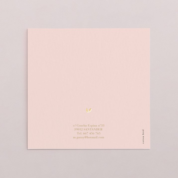 Diana Rosa Empolvado