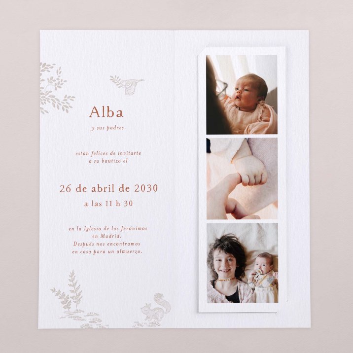 Bosque dormido - Rosa