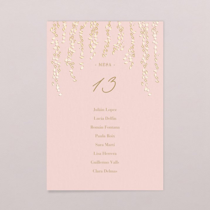 Diana Rosa Empolvado