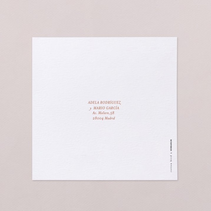 Lobelia Cardinalis I