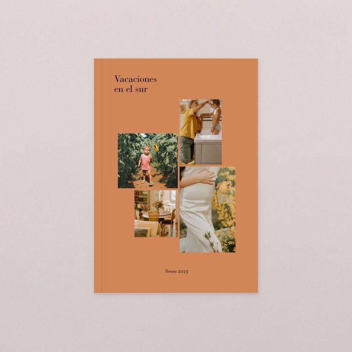 le Petit Quotidien - 4